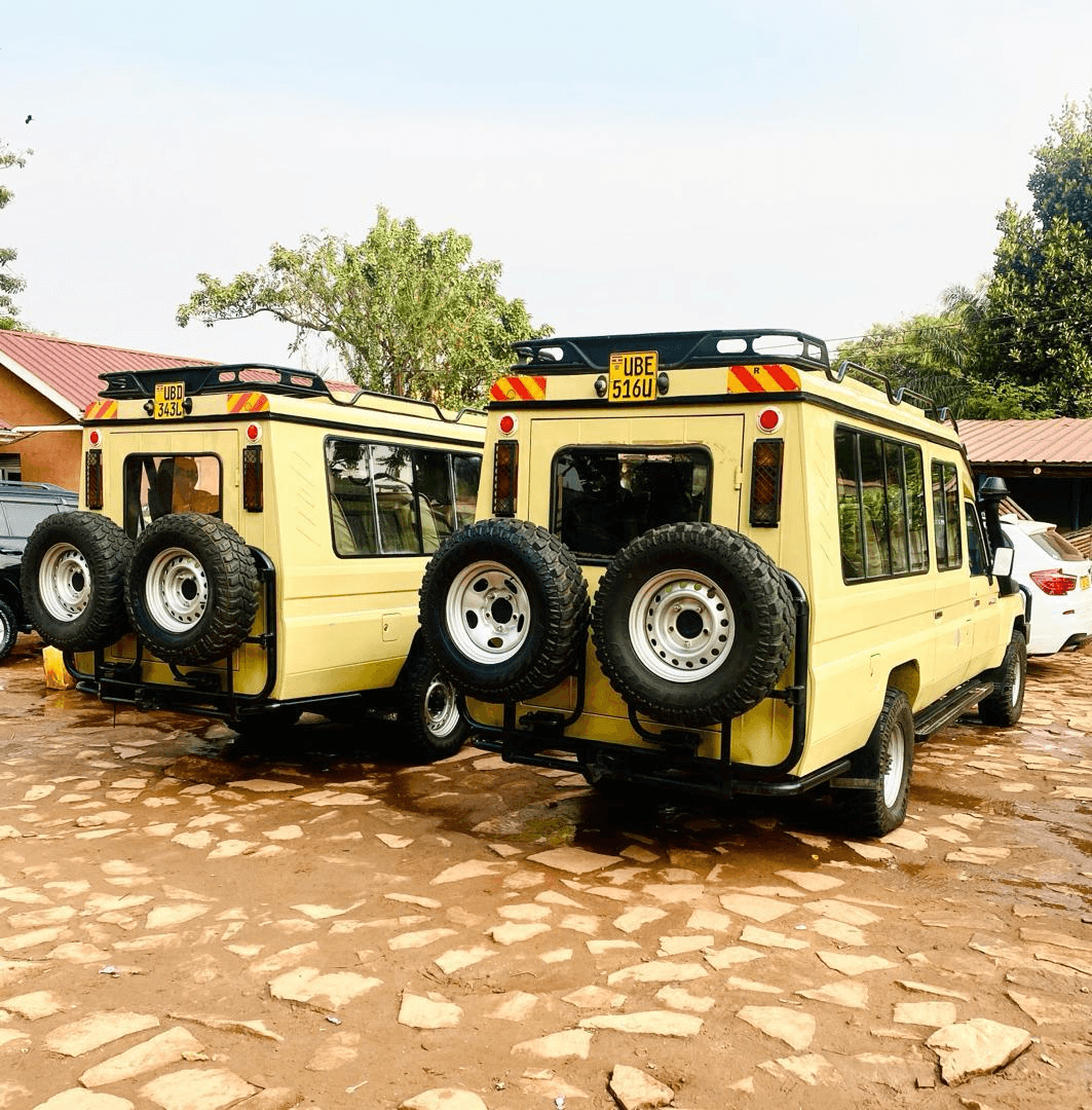 Uganda Safari Gallery Image 12