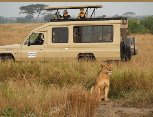 Uganda Safari Gallery Image 13