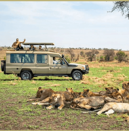 Uganda Safari Gallery Image 14