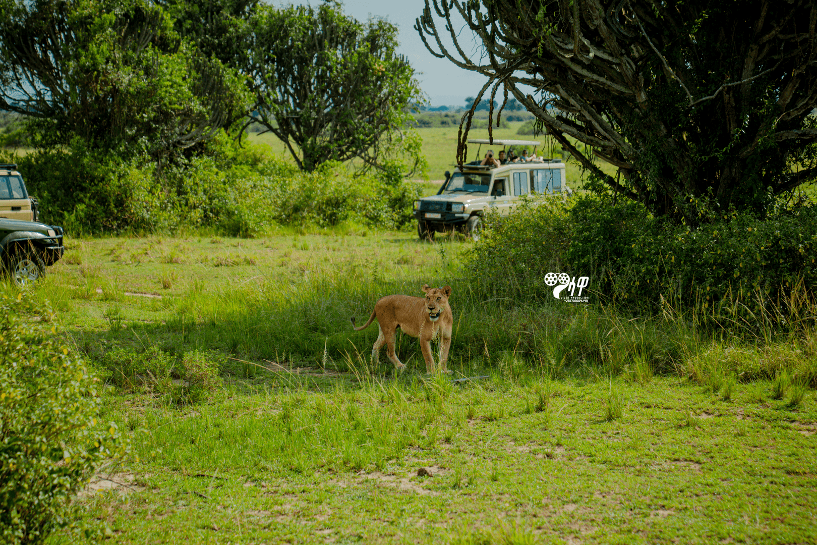 Uganda Safari Gallery Image 25