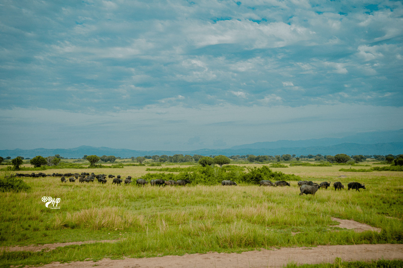 Uganda Safari Gallery Image 28